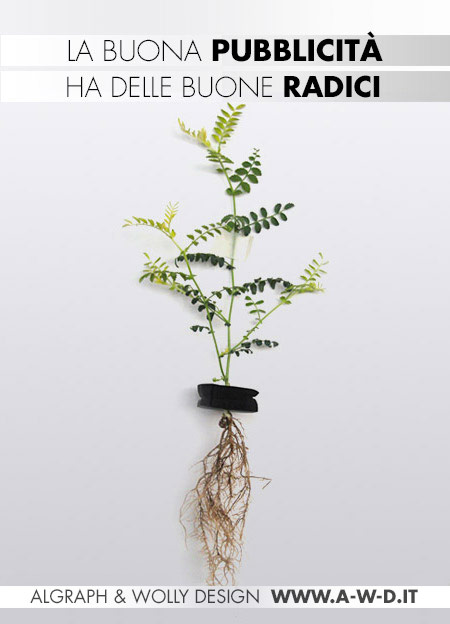 Consulenza pubblicitaria Biella